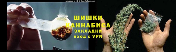 стаф Белокуриха